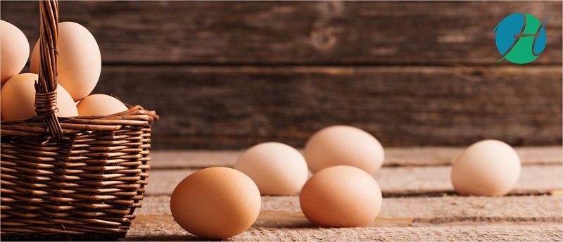 Sunny Side Up or Sunny Side Down: Or Is It All Scrambled? | HealthSoul