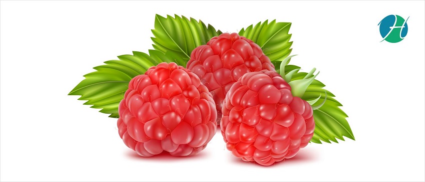 Five Health Benefits of Raspberries | HealthSoul