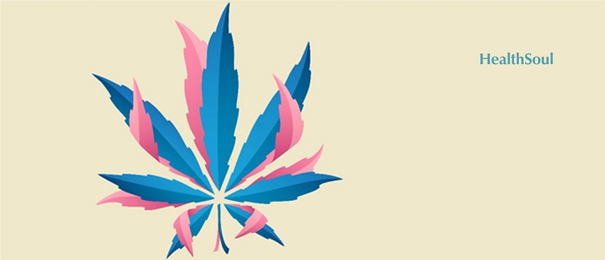 What Cannabis Does for Reproductive Health | HealthSoul