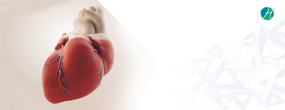 Heart Palpitations: Causes, Diagnosis and Treatment | Health
