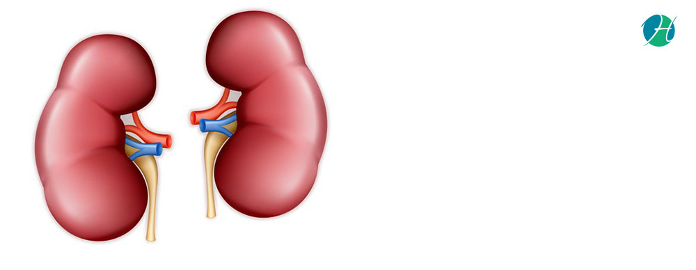 Nephrotic Syndrome: Symptoms and Treatment | HealthSoul