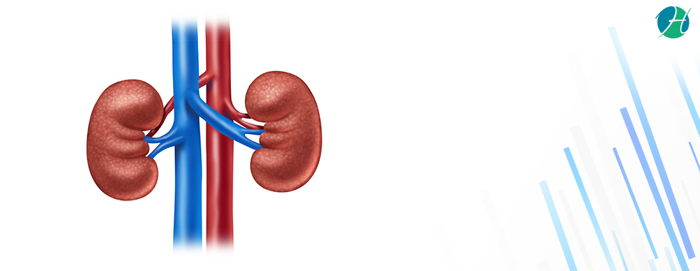 Kidney Cancer: Symptoms and Treatment | HealthSoul