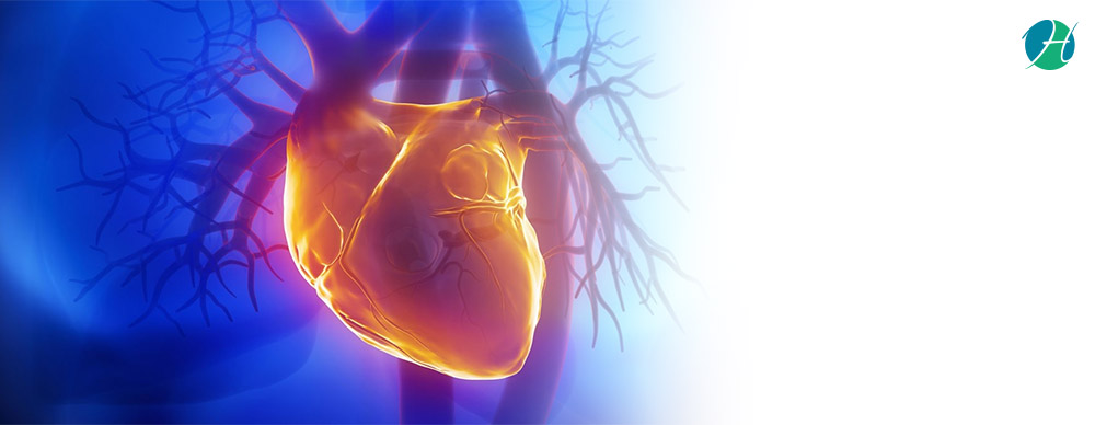 Effect of Chemotherapy on the Heart: Monitoring and Treatment | HealthSoul