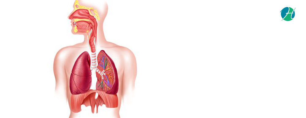 Respiratory Failure: Causes and Treatment | HealthSoul