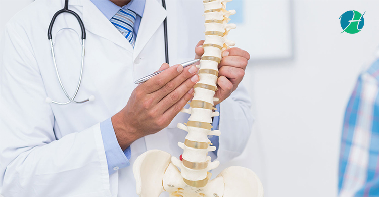 Common Myths About Chiropractic Care – Healthsoul