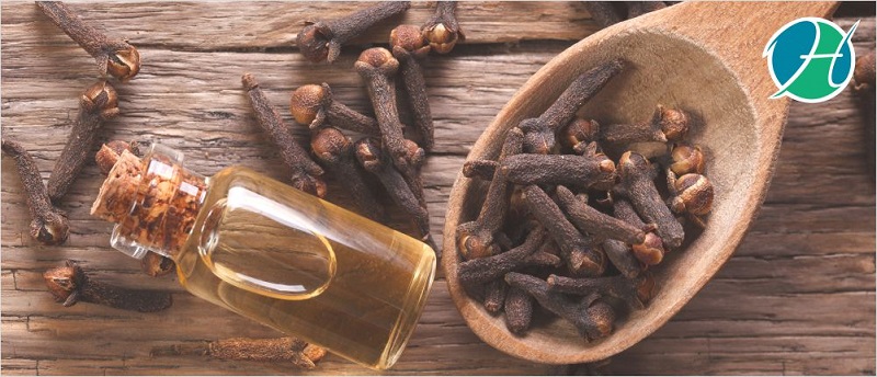 Benefits of Cloves | HealthSoul