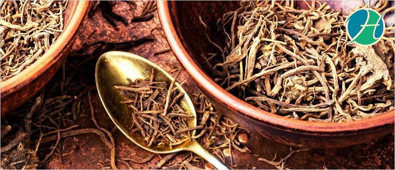 Benefits of Valerian Root | HealthSoul