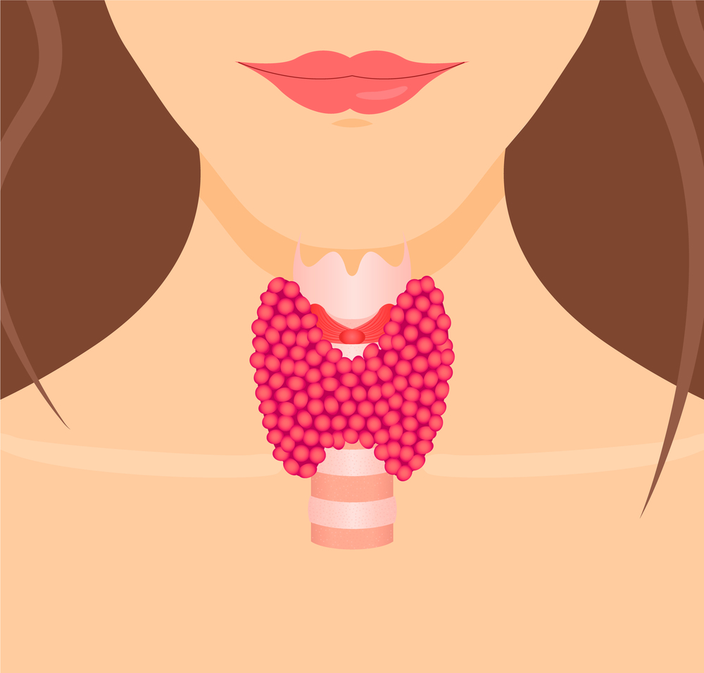 Hyperthyroidism: Symptoms, Diagnosis and Treatment | HealthSoul