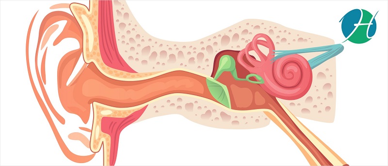 Tympanometry: overview, Indications, Procedure, principle and results | HealthSoul