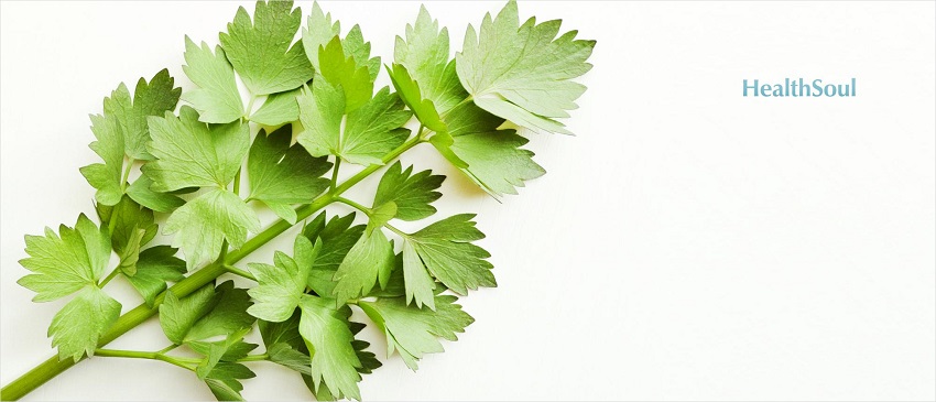 Health Benefits of Lovage | HealthSoul