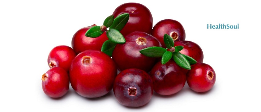 Uva Ursi or Bearberry Benefits | HealthSoul